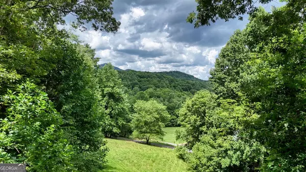 Blairsville, GA 30512,68 Coosa View LN