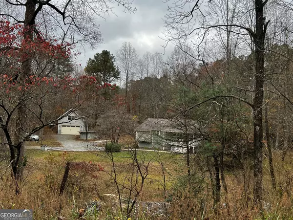 Ellijay, GA 30536,1319 Henry Evans RD