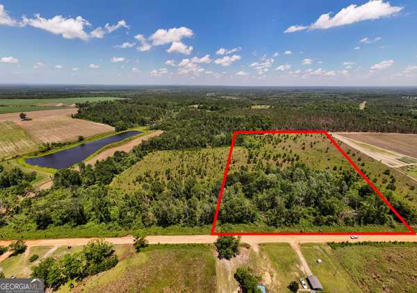12.37 ACRES- LO Perry Horton RD, Adrian, GA 31002