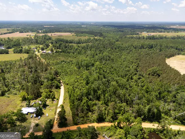 Adrian, GA 31002,10.86 ACRES- LO Herman Dollar RD