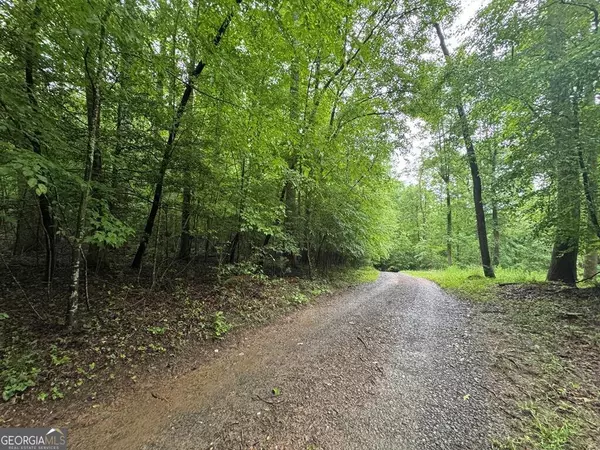 1.23 AC Bear Run CIR #101, 117-9, Ellijay, GA 30540