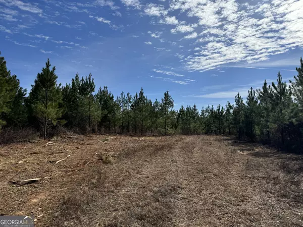 Ellaville, GA 31806,018 Dozier RD