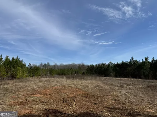 Ellaville, GA 31806,018 Dozier RD