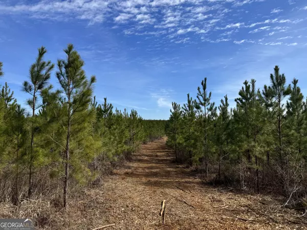 018 Dozier RD, Ellaville, GA 31806