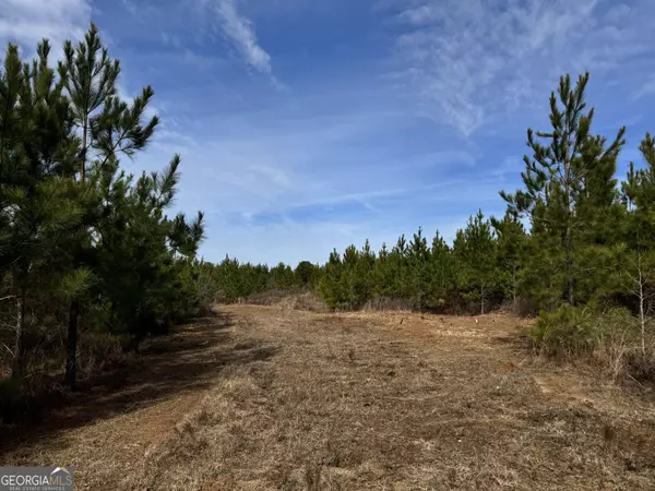 Ellaville, GA 31806,018 Dozier RD