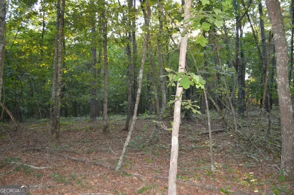 Euharlee, GA 30145,17 Ripplewood TRL