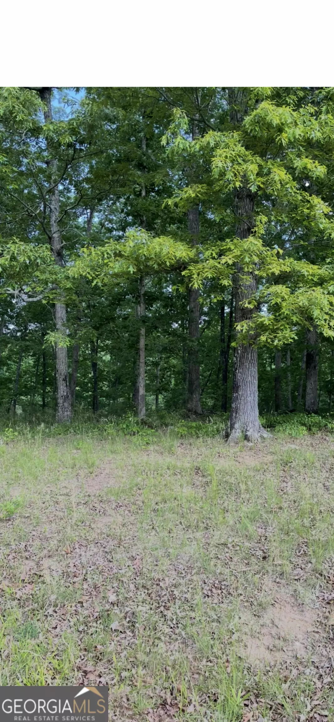 Griffin, GA 30224,108 Timber Ridge DR