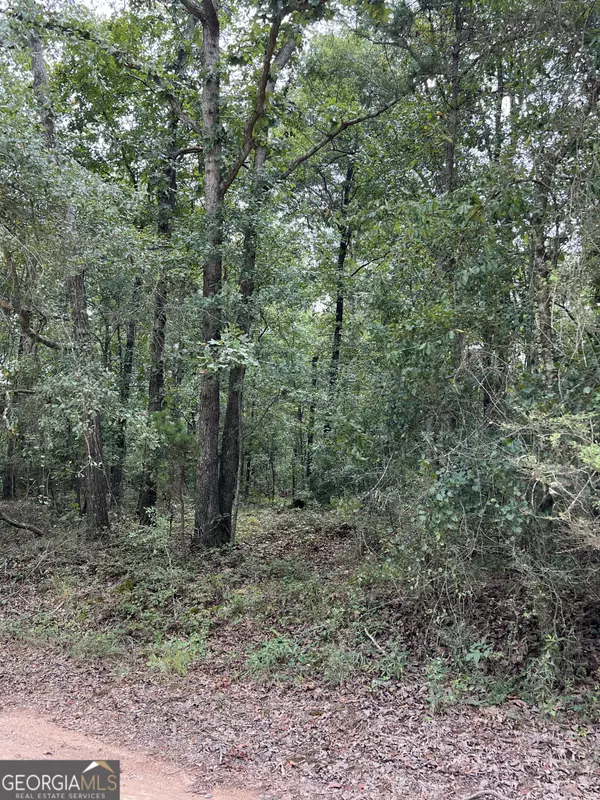 TRACT #3 Lake Deerfield Rd, Hull, GA 30646