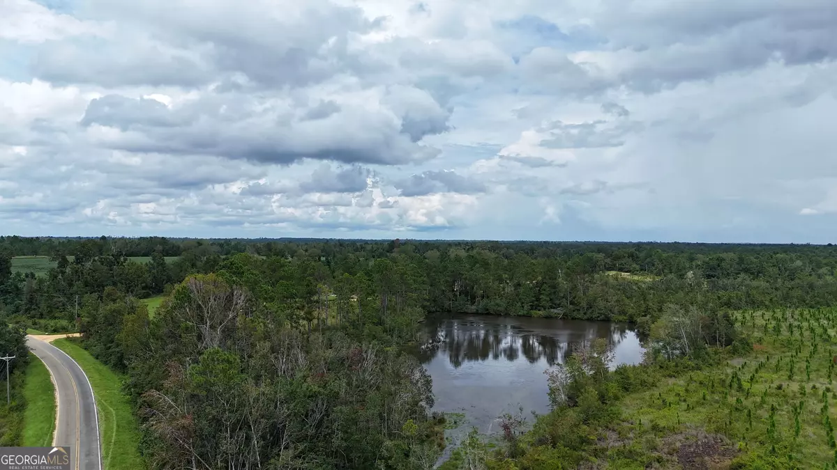 Ailey, GA 30410,1025 Old Dairy RD