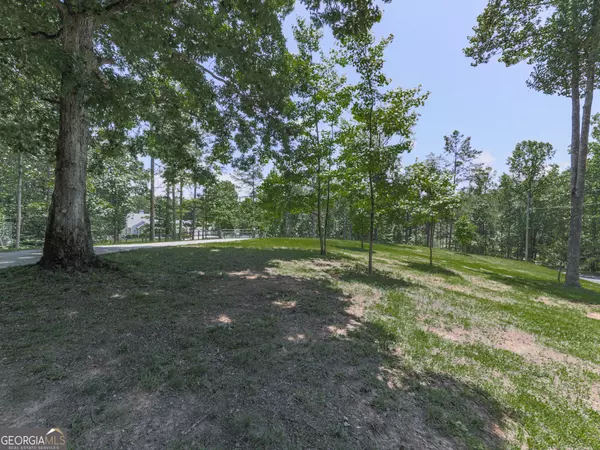 Ellijay, GA 30540,430 Cajun DR