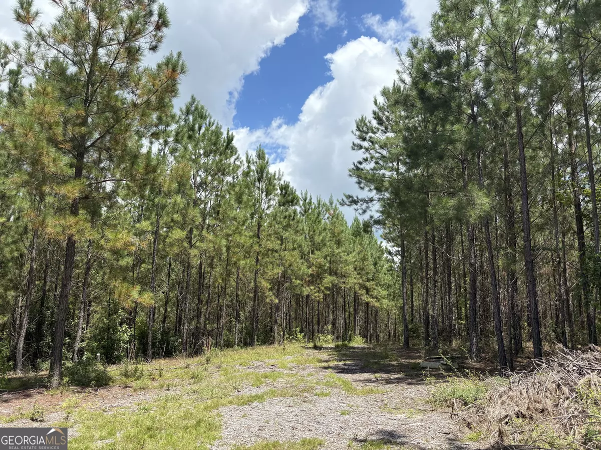 Gordon, GA 31031,0 Black Creek RD