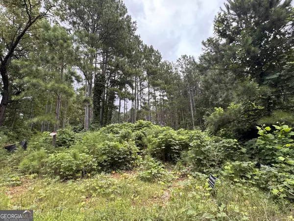 Bremen, GA 30110,735 Charlotte LN