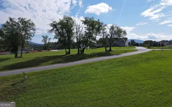 Blairsville, GA 30512,LOT 111 Owen Glen #111