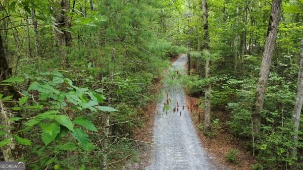 00 Hwy 60, Mineral Bluff, GA 30559