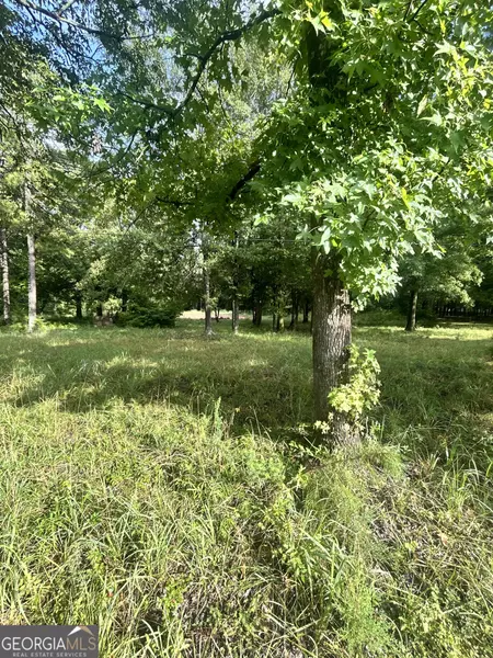 1040 Perryman RD, Buckhead, GA 30625