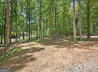 Lavonia, GA 30553,0 Hillshore RD