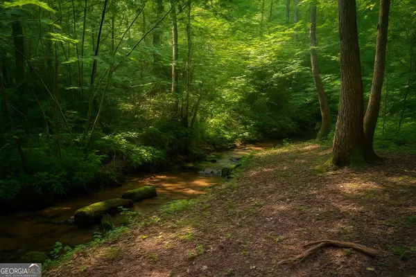 Mineral Bluff, GA 30559,149 Happy Hollow LN