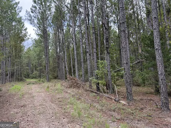 Swainsboro, GA 30401,0 Blun