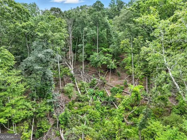Jasper, GA 30143,LOT268 VistaView Pkwy