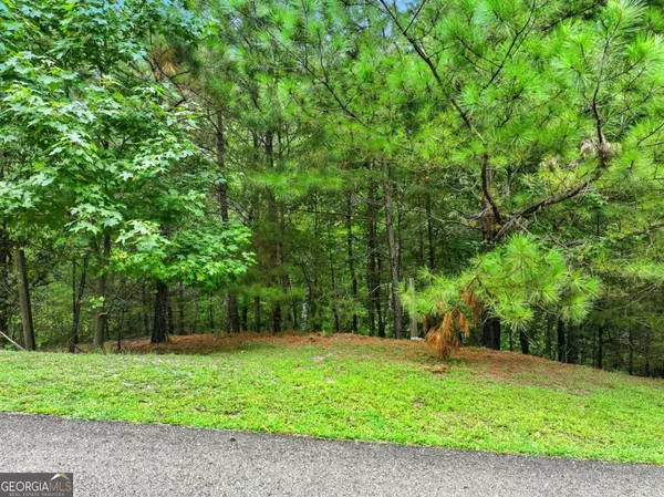 Jasper, GA 30143,LOT268 VistaView Pkwy