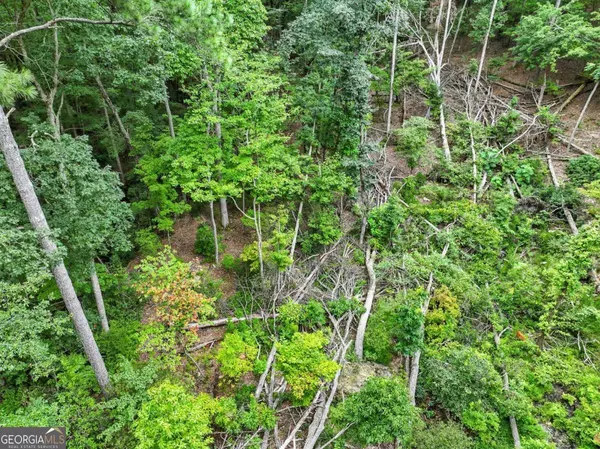 Jasper, GA 30143,LOT268 VistaView Pkwy