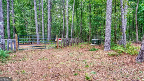 Nicholson, GA 30565,140 Levi TRL