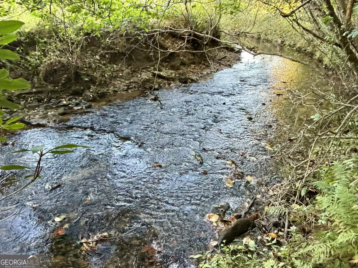 Morganton, GA 30560,2AC Rainey Valley LN