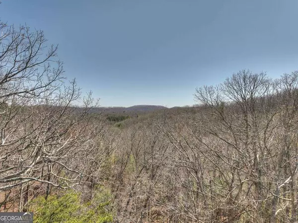 Blairsville, GA 30512,33 & 34 Fannin Overlook