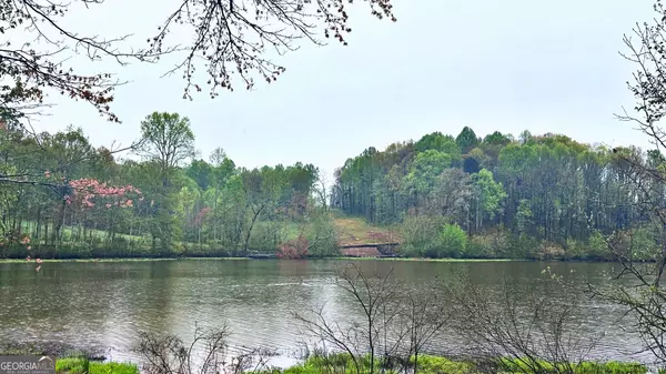 Dawsonville, GA 30534,6785 Settingdown Creek DR #LOT 39