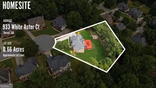 Dacula, GA 30019,933 White Aster CT