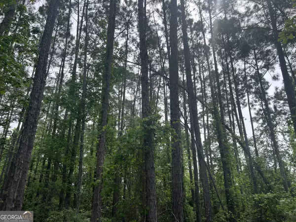Ashburn, GA 31714,0 Julianne RD