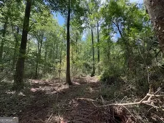 LOT 17 Smith RD, Thomaston, GA 30286