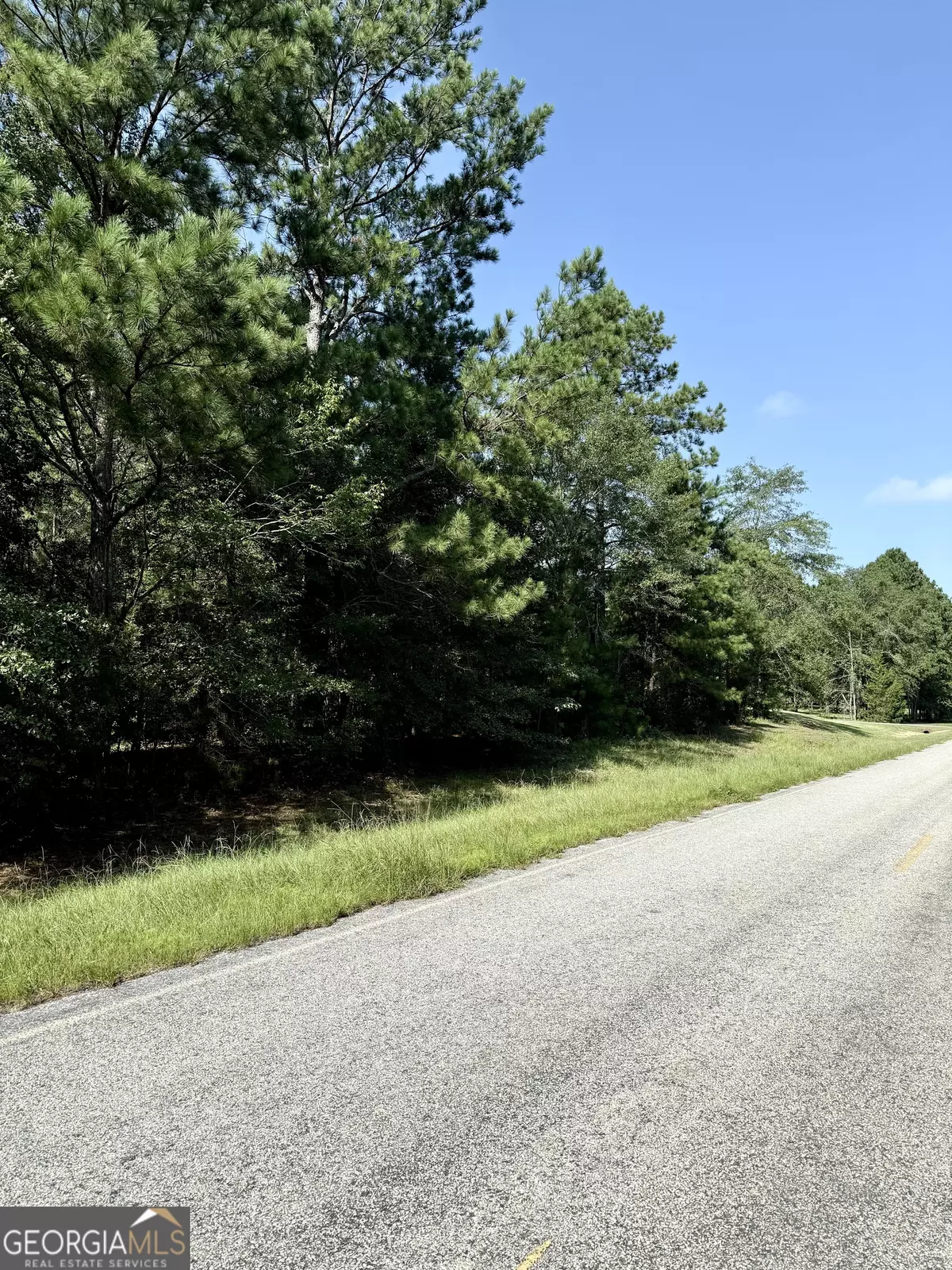 Sylvania, GA 30467,0 Best Bridge RD