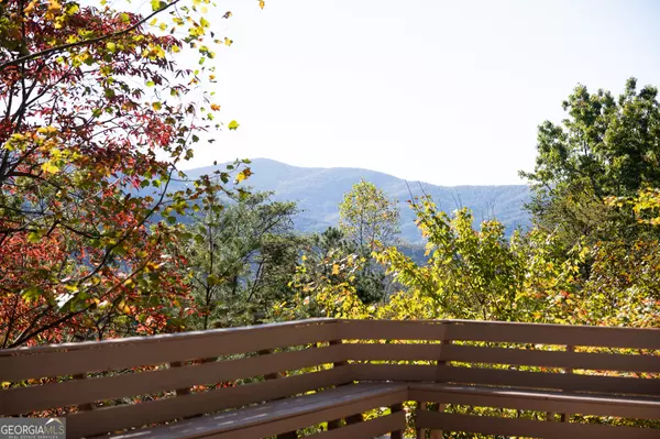 Blue Ridge, GA 30513,1427 Cherry Lake DR