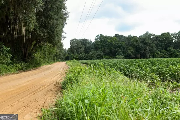 Statesboro, GA 30458,0 Twin Forks RD #TRACT 1