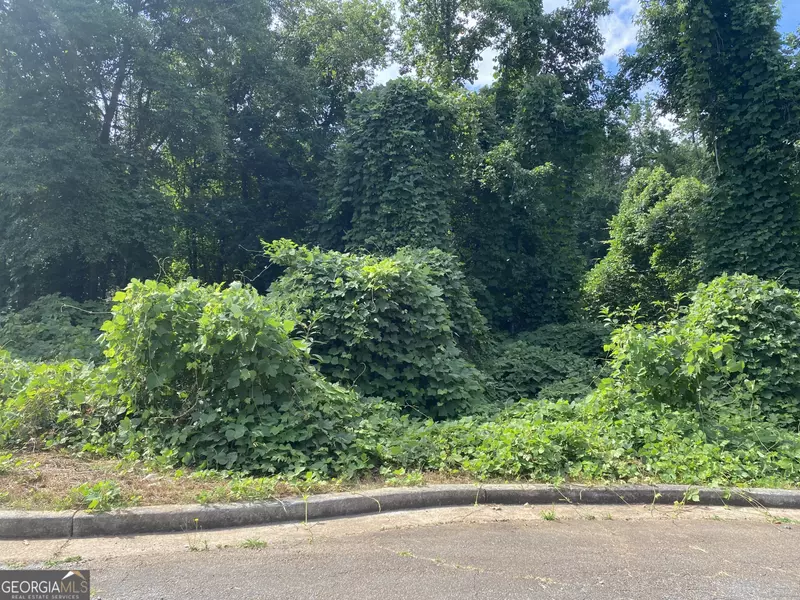 0 Hannah CT #LOT 13, Barnesville, GA 30204
