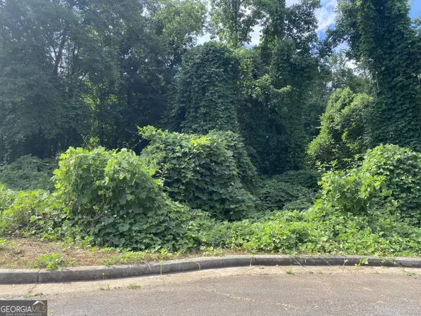 0 Hannah CT #LOT 13, Barnesville, GA 30204