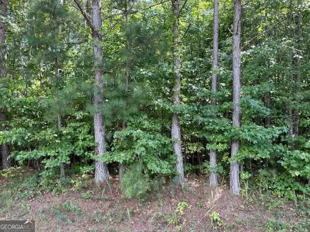 TRACT 9 Old Ridgeway RD, Bremen, GA 30110
