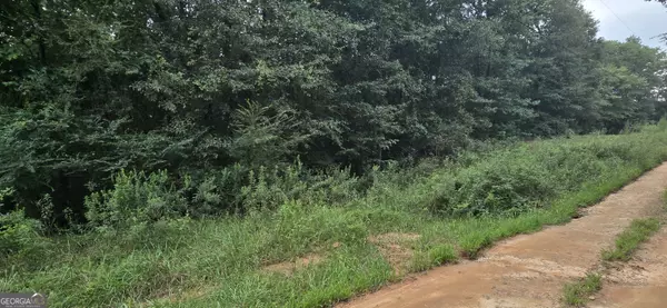 2697 Zero O DR, Bowman, GA 30624