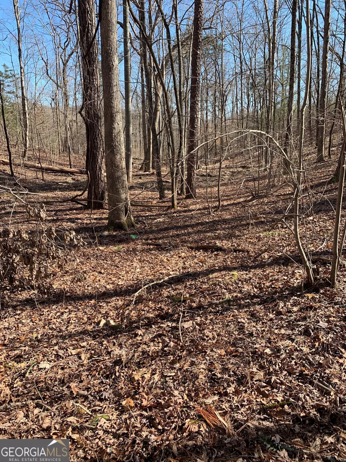 Jasper, GA 30143,1986 Jones Mountain RD
