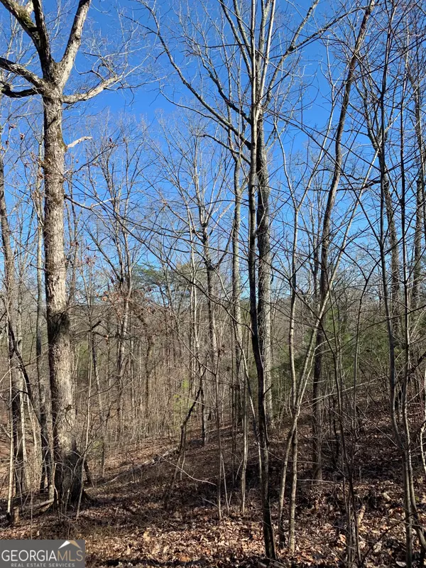 Jasper, GA 30143,1986 Jones Mountain RD