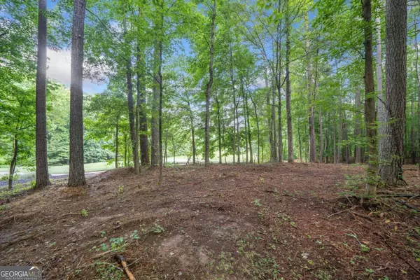 Milton, GA 30004,230 Brock TRL ##5