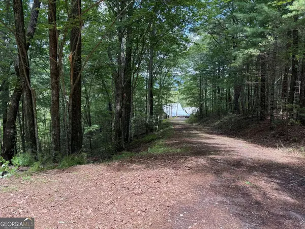 Blairsville, GA 30512,10+ AC Spiva CV