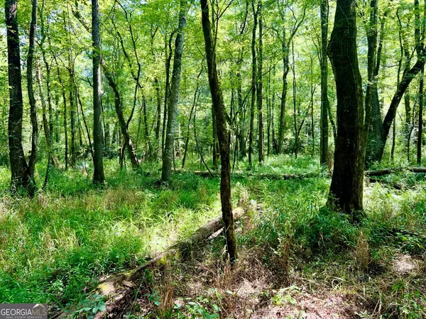 Kathleen, GA 31047,0 Hwy 247