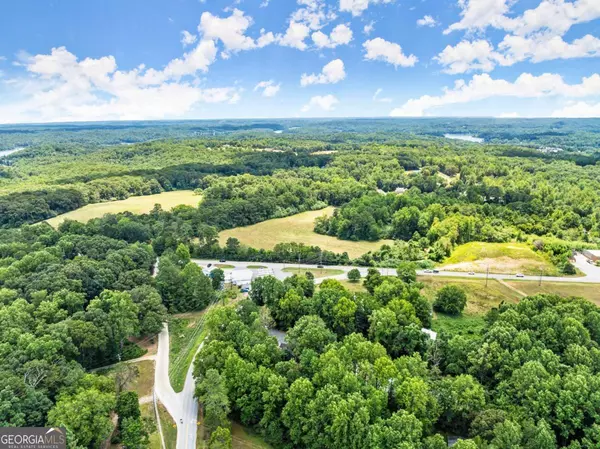 Dawsonville, GA 30534,1185 Harmony CH RD