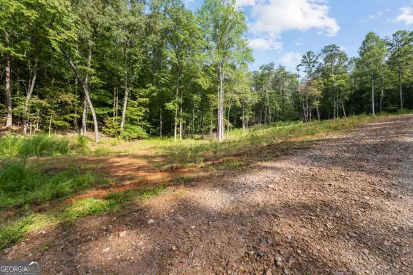 Dahlonega, GA 30533,2041 Long Branch RD #TRACT 2A