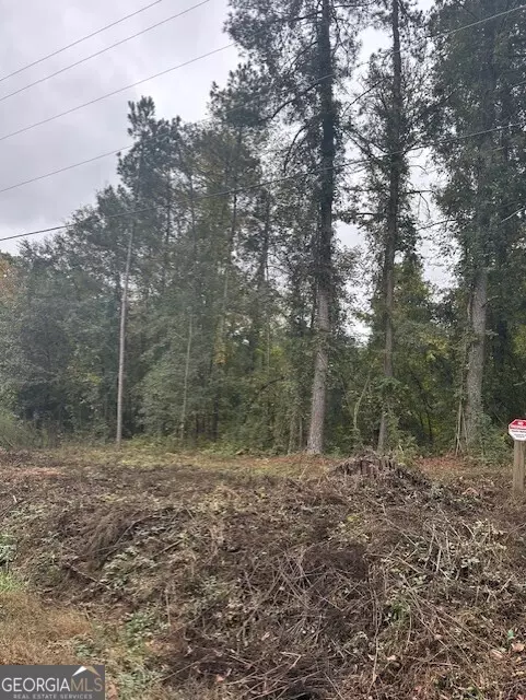 Ellenwood, GA 30294,594 COOK DR