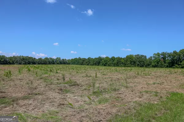 Leslie, GA 31764,639 Rw Jones RD