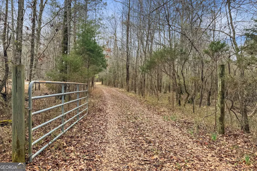 34.61 ACRES Walker RD, Meansville, GA 30256