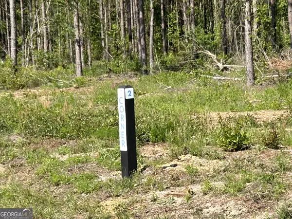 Dexter, GA 31019,0 Dewey Thomas RD #LOT 2